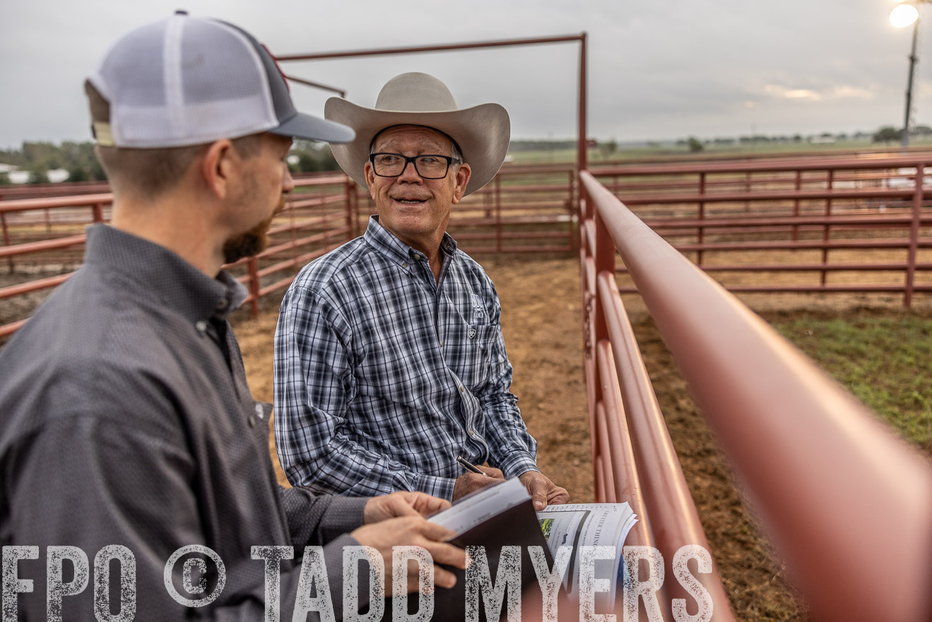 TMyers_FallBullSale_Cameron_Oct2023-514862
