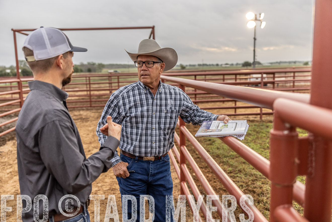 TMyers_FallBullSale_Cameron_Oct2023-514873