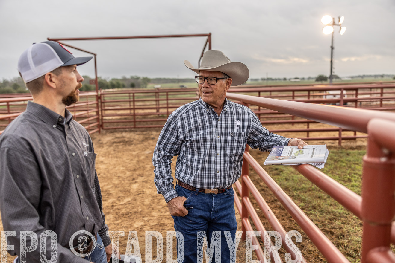 TMyers_FallBullSale_Cameron_Oct2023-514874