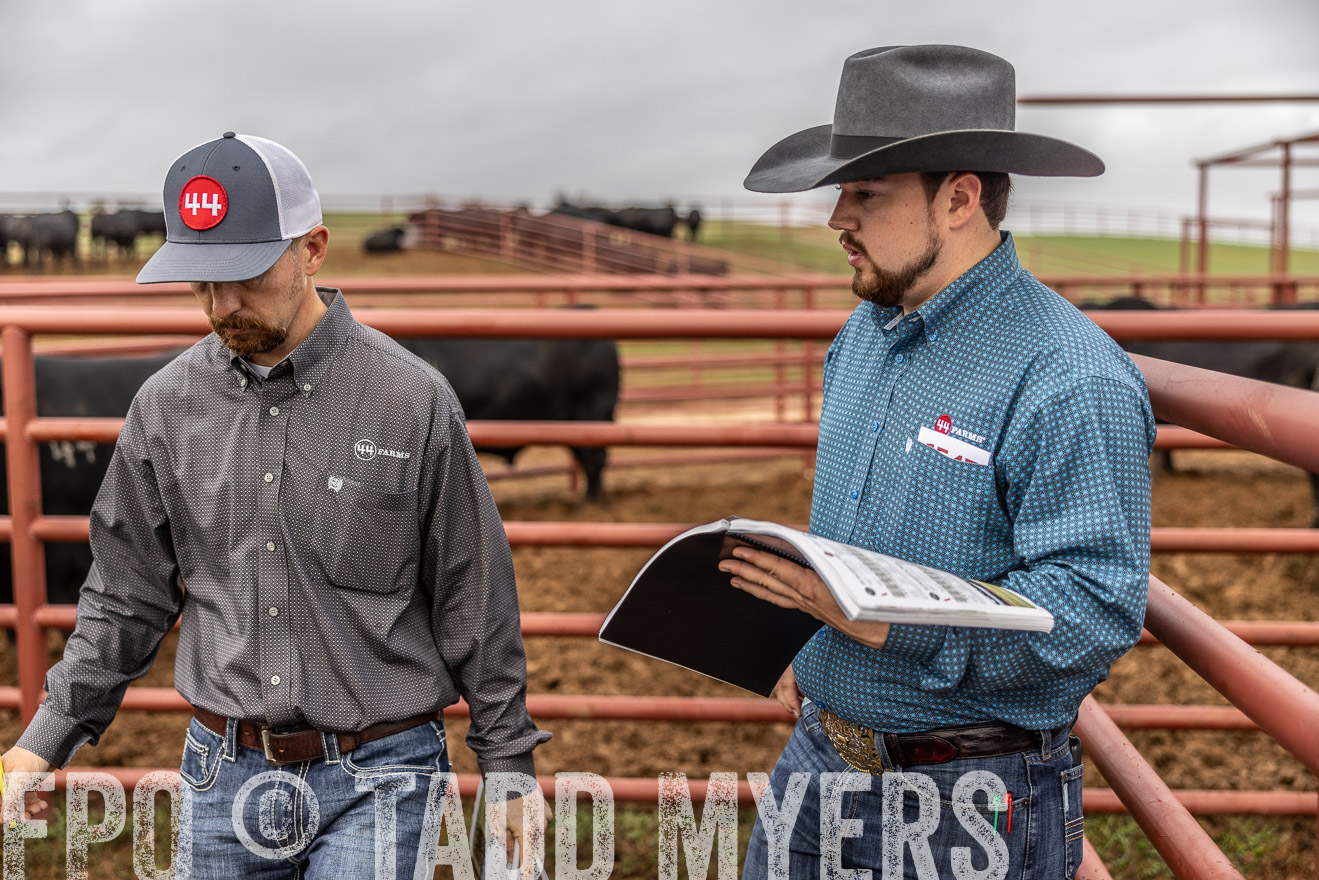 TMyers_FallBullSale_Cameron_Oct2023-514897