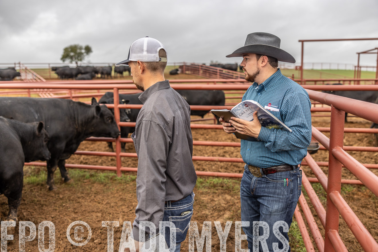 TMyers_FallBullSale_Cameron_Oct2023-514900