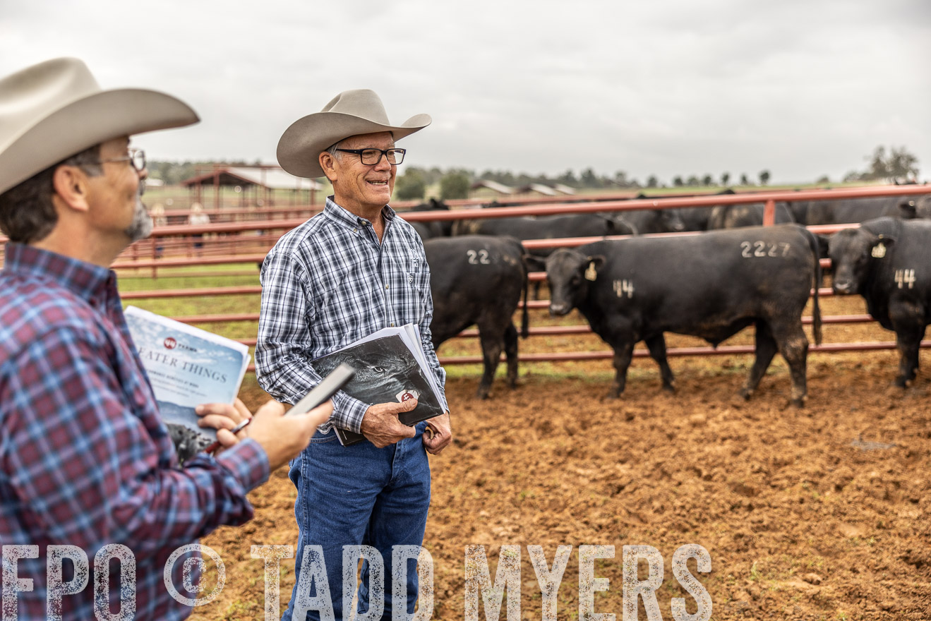 TMyers_FallBullSale_Cameron_Oct2023-514990