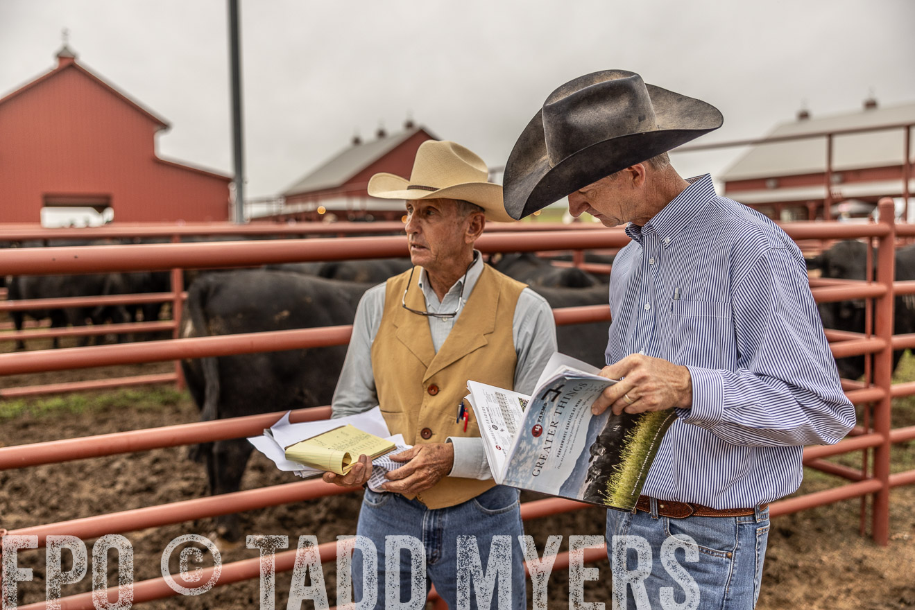 TMyers_FallBullSale_Cameron_Oct2023-515123