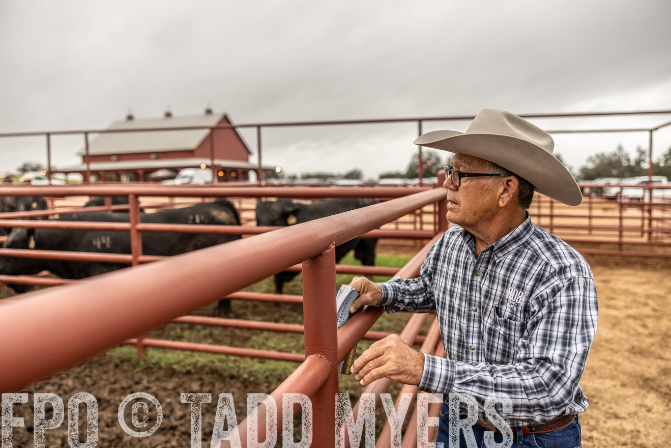 TMyers_FallBullSale_Cameron_Oct2023-515153