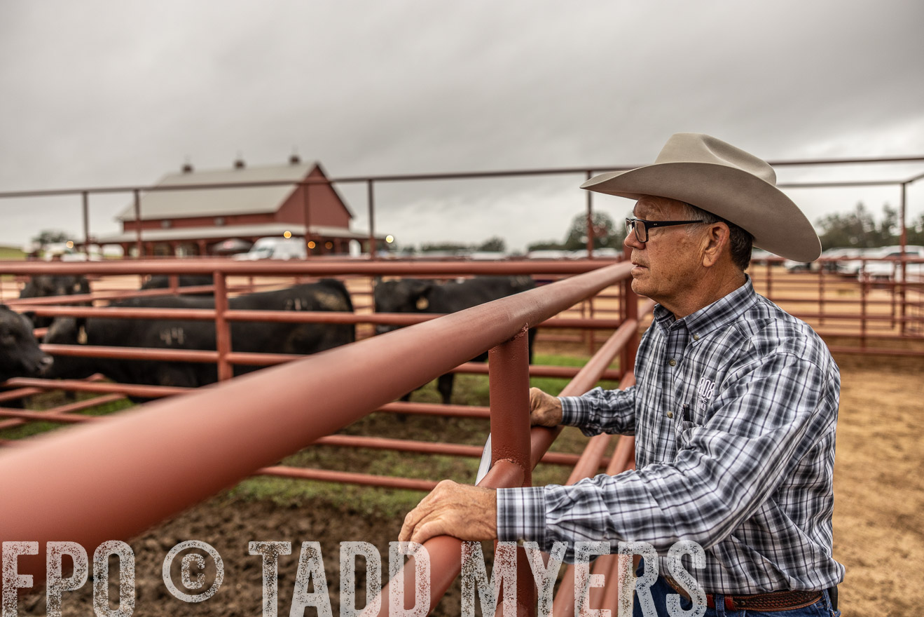 TMyers_FallBullSale_Cameron_Oct2023-515155