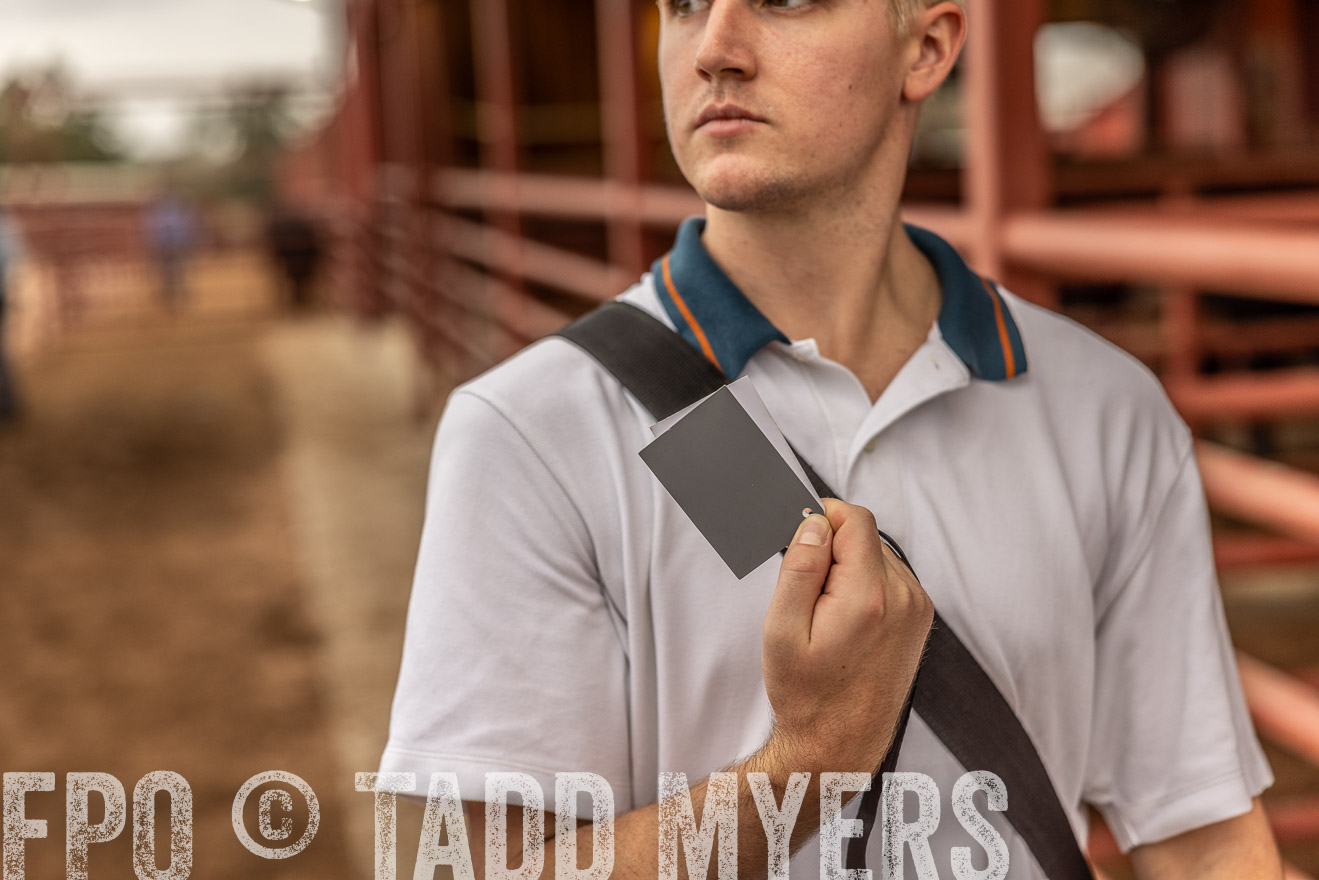 TMyers_FallBullSale_Cameron_Oct2023-515229
