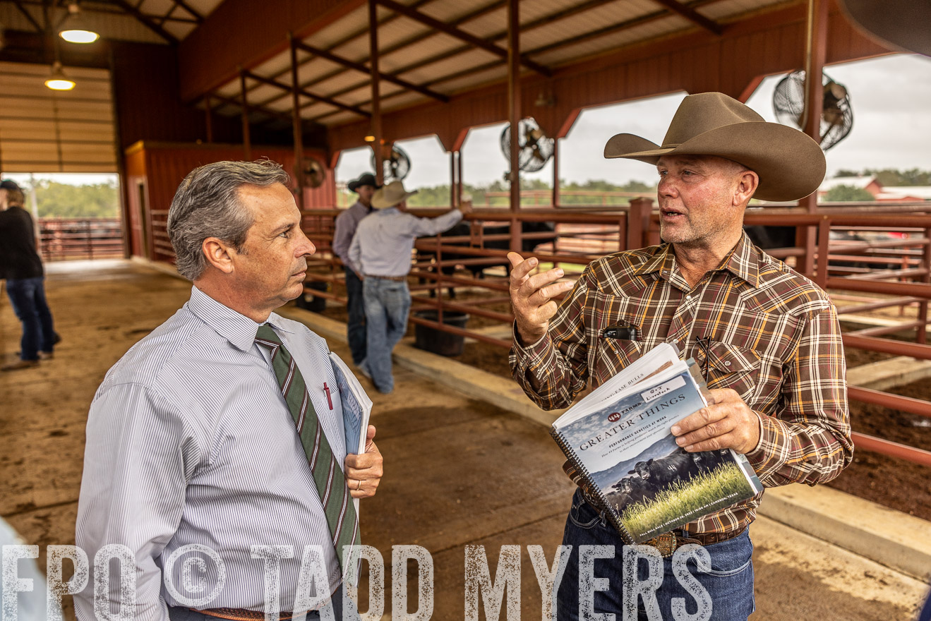 TMyers_FallBullSale_Cameron_Oct2023-515236