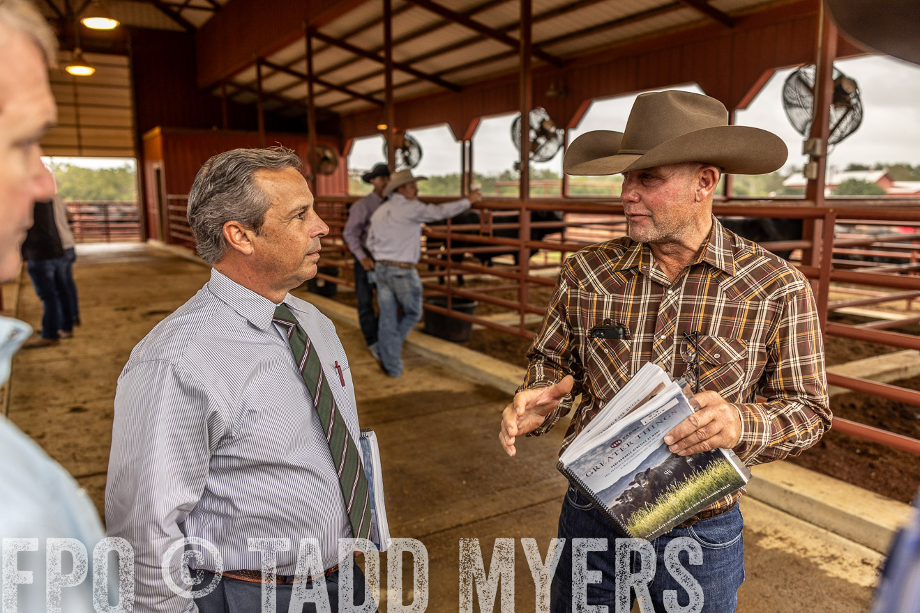TMyers_FallBullSale_Cameron_Oct2023-515241