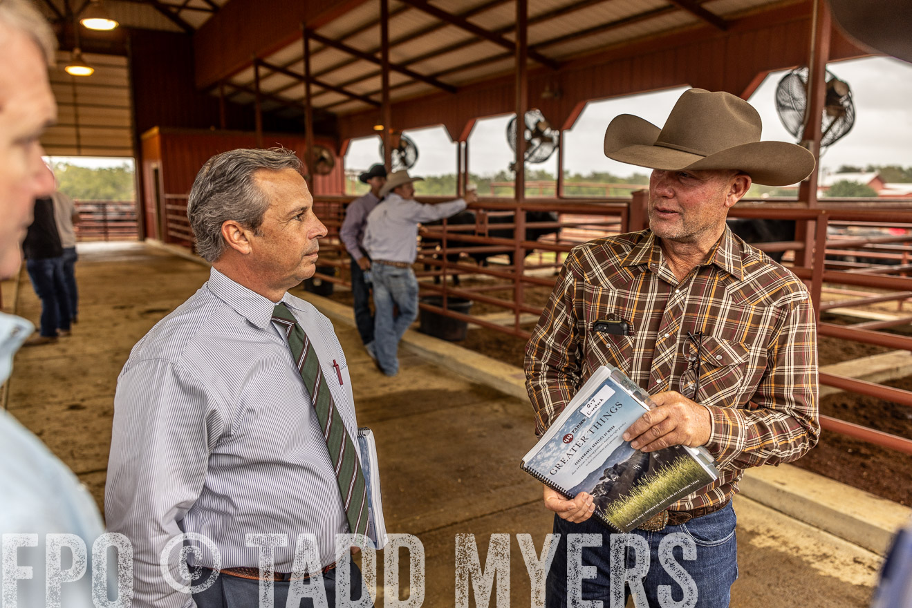 TMyers_FallBullSale_Cameron_Oct2023-515242