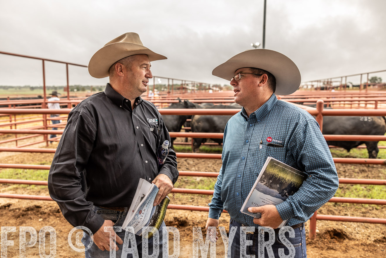 TMyers_FallBullSale_Cameron_Oct2023-515254
