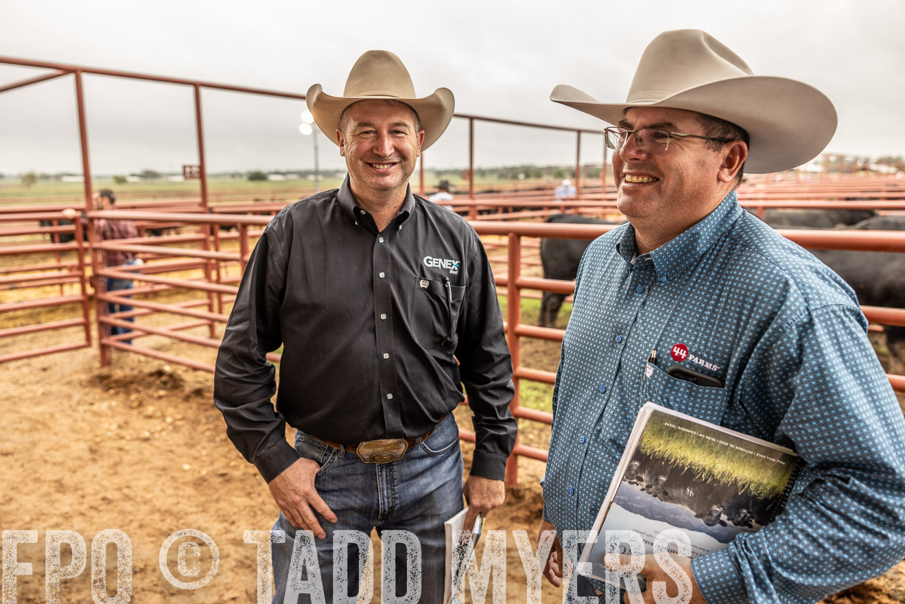 TMyers_FallBullSale_Cameron_Oct2023-515259