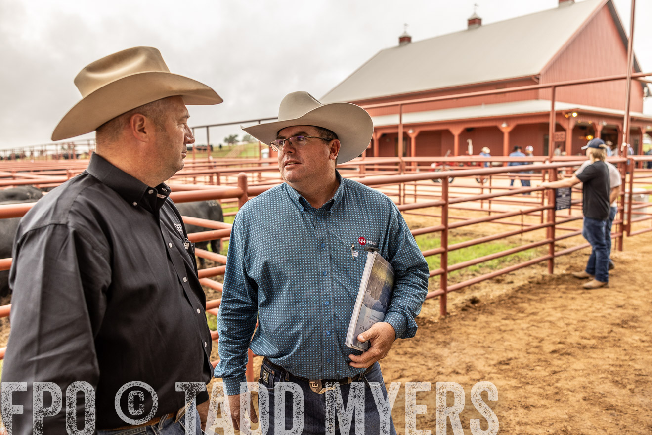 TMyers_FallBullSale_Cameron_Oct2023-515275