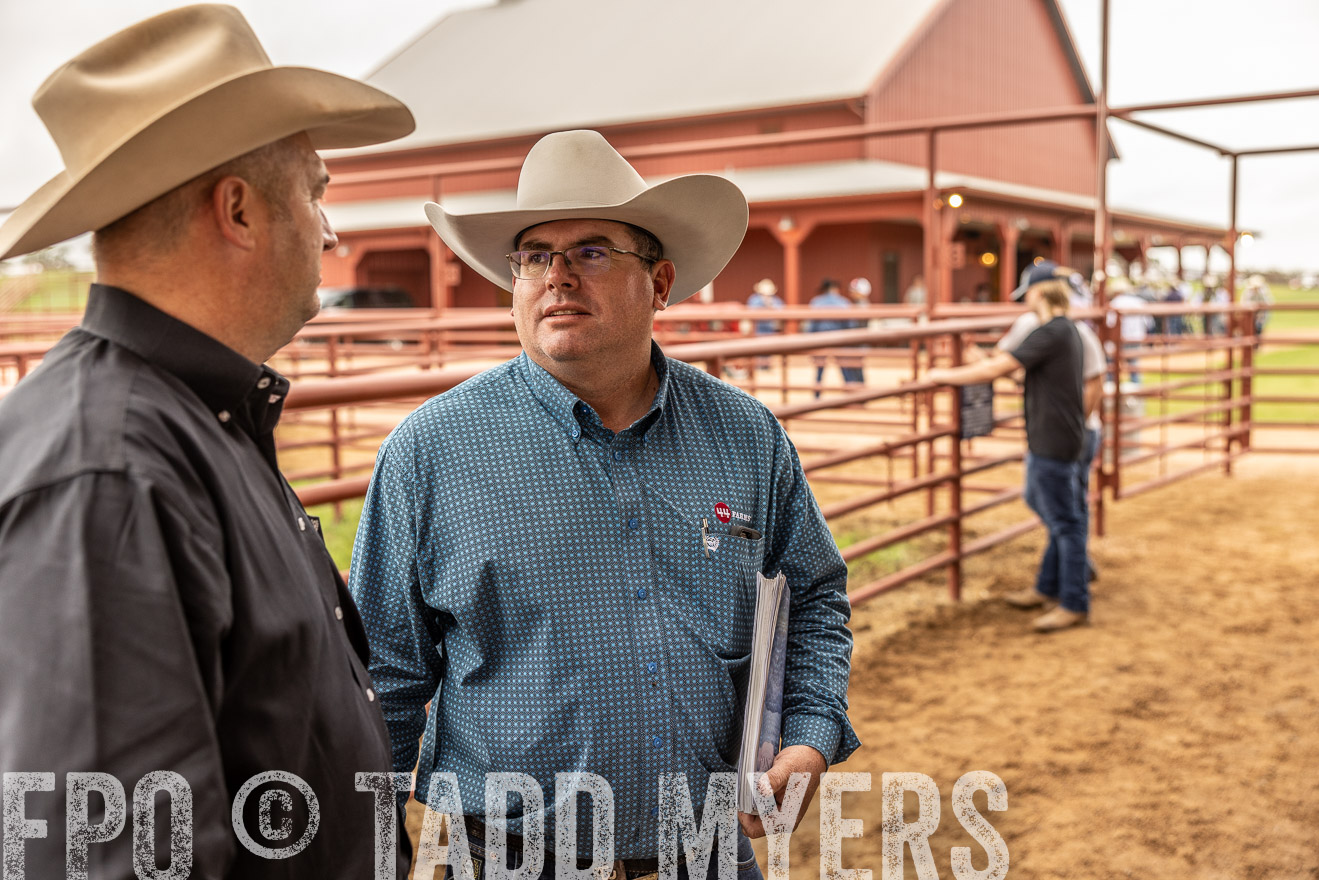 TMyers_FallBullSale_Cameron_Oct2023-515279