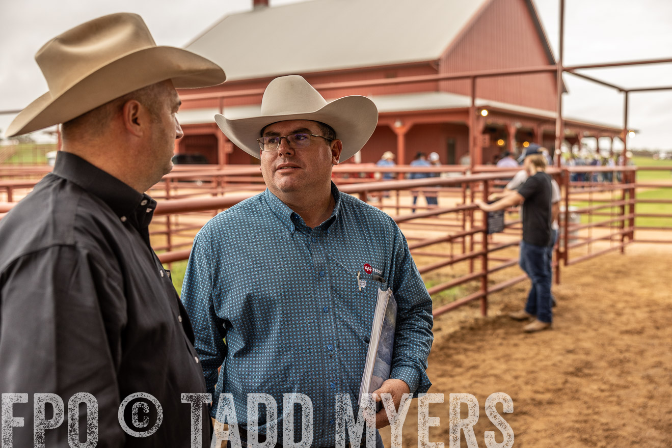 TMyers_FallBullSale_Cameron_Oct2023-515282