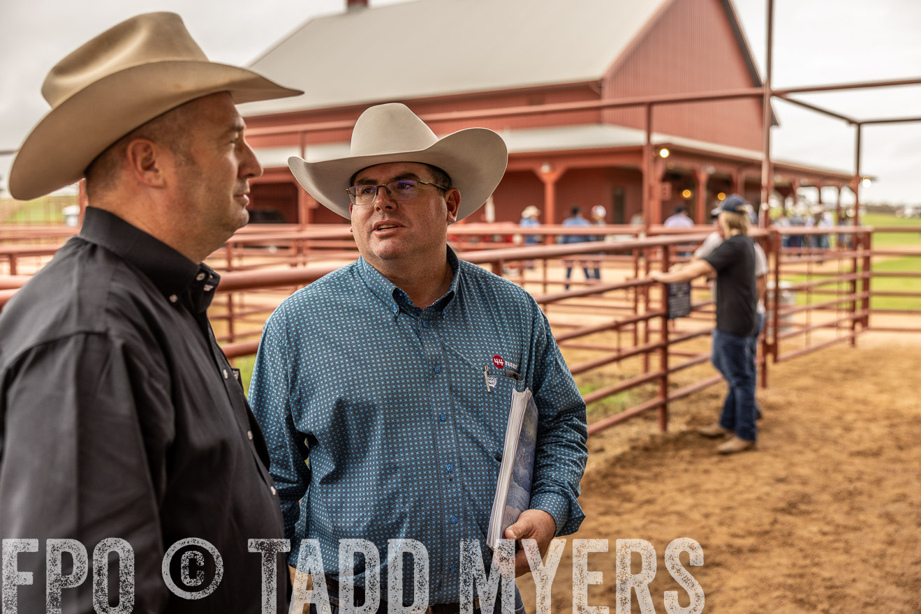 TMyers_FallBullSale_Cameron_Oct2023-515284