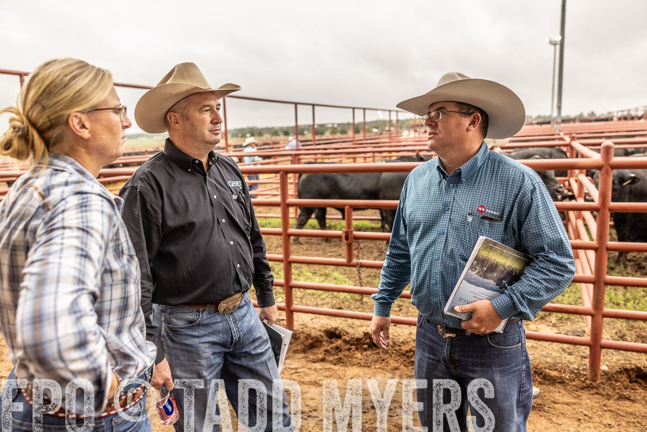 TMyers_FallBullSale_Cameron_Oct2023-515289