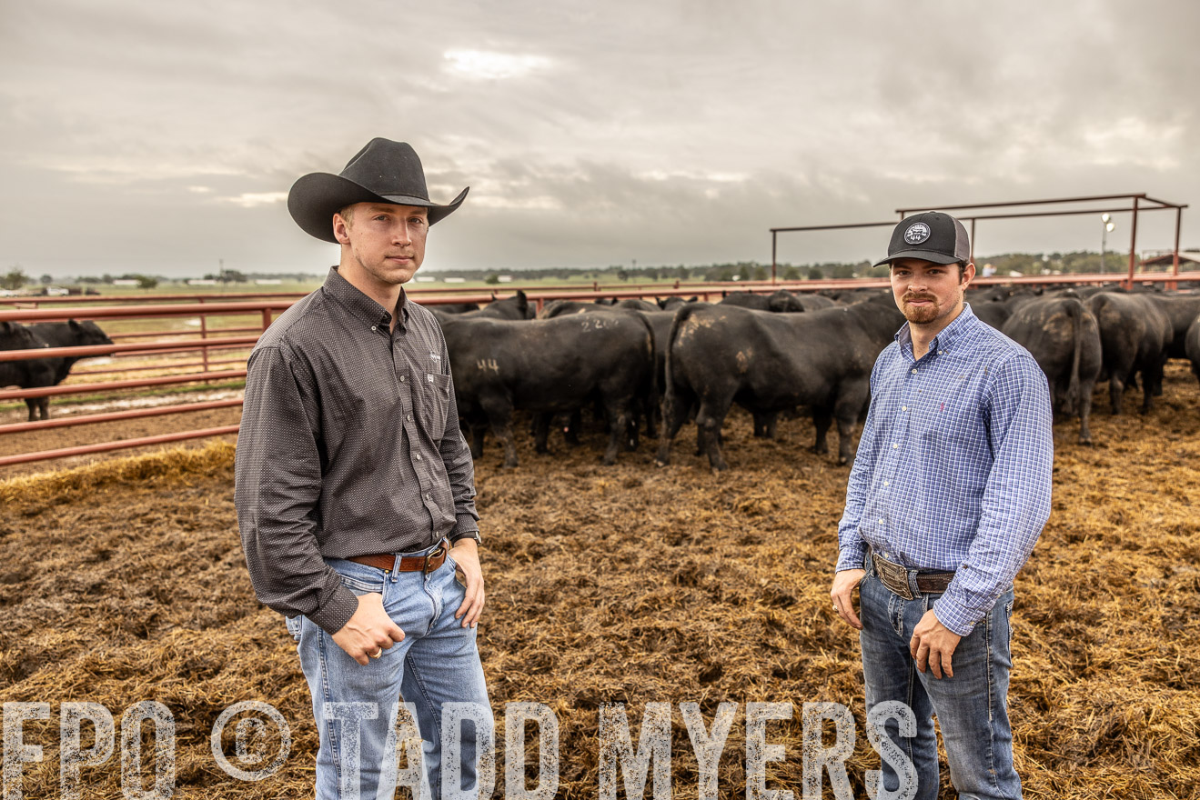 TMyers_FallBullSale_Cameron_Oct2023-515335