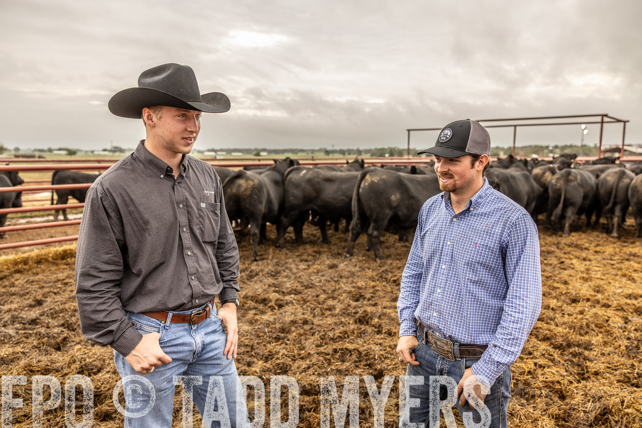 TMyers_FallBullSale_Cameron_Oct2023-515339