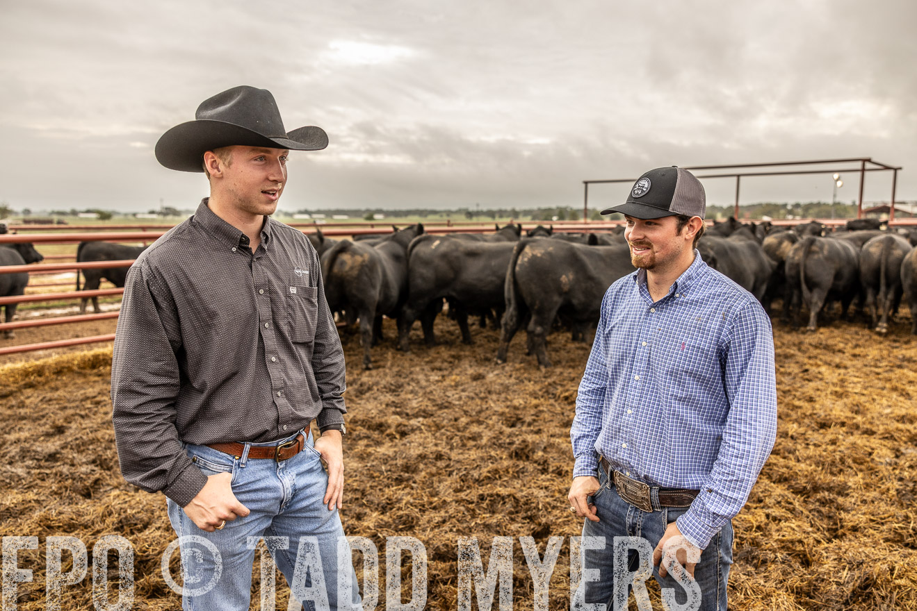 TMyers_FallBullSale_Cameron_Oct2023-515340