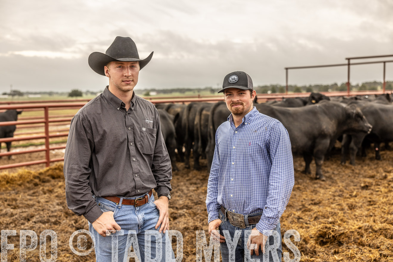 TMyers_FallBullSale_Cameron_Oct2023-515345