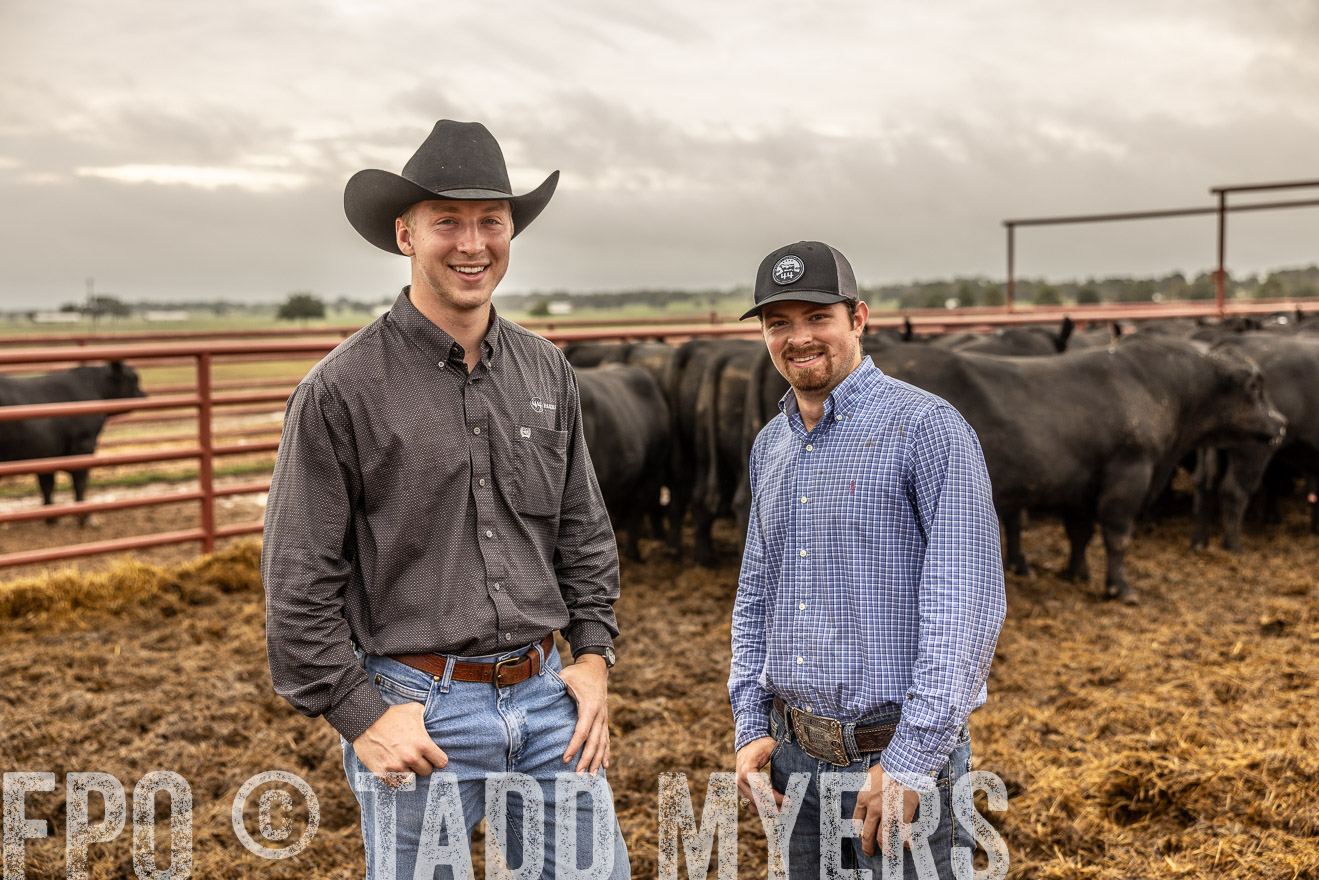 TMyers_FallBullSale_Cameron_Oct2023-515349