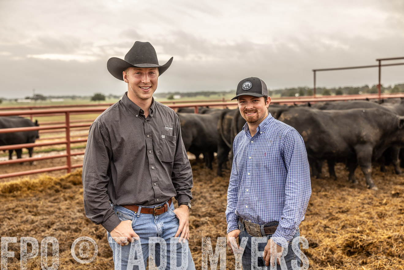 TMyers_FallBullSale_Cameron_Oct2023-515352