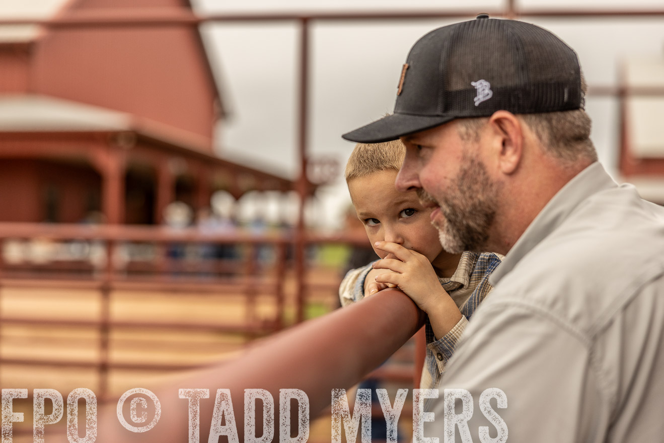 TMyers_FallBullSale_Cameron_Oct2023-515454