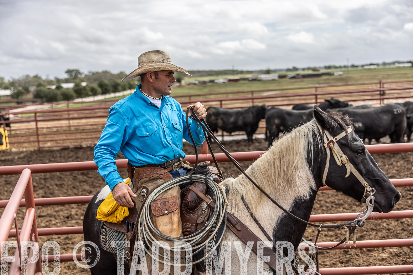 TMyers_FallBullSale_Cameron_Oct2023-515609