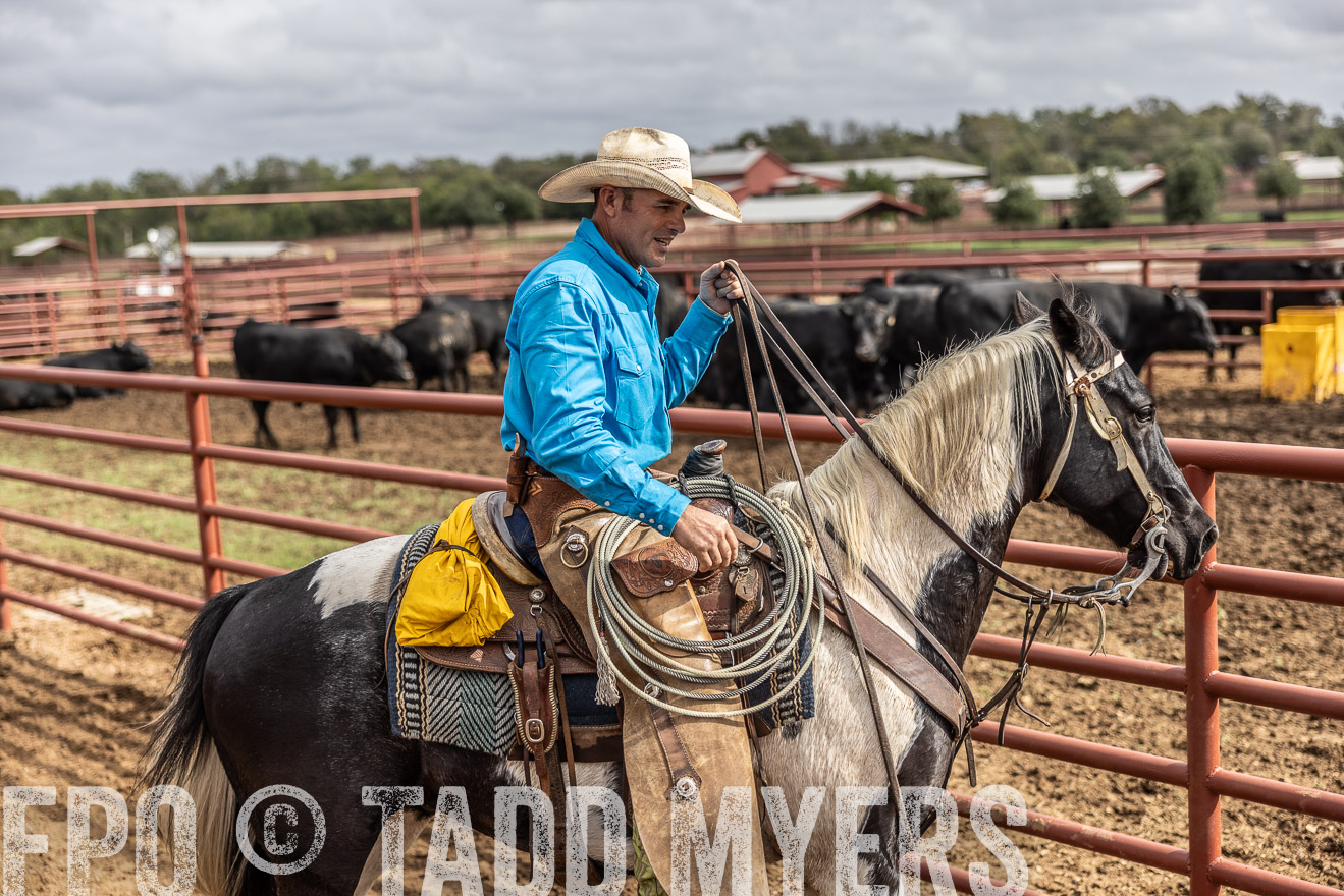TMyers_FallBullSale_Cameron_Oct2023-515622