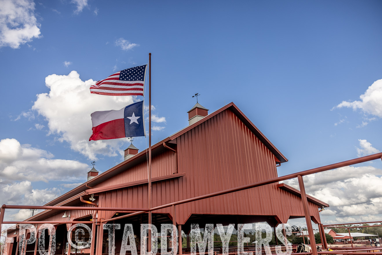 TMyers_FallBullSale_Cameron_Oct2023-515679