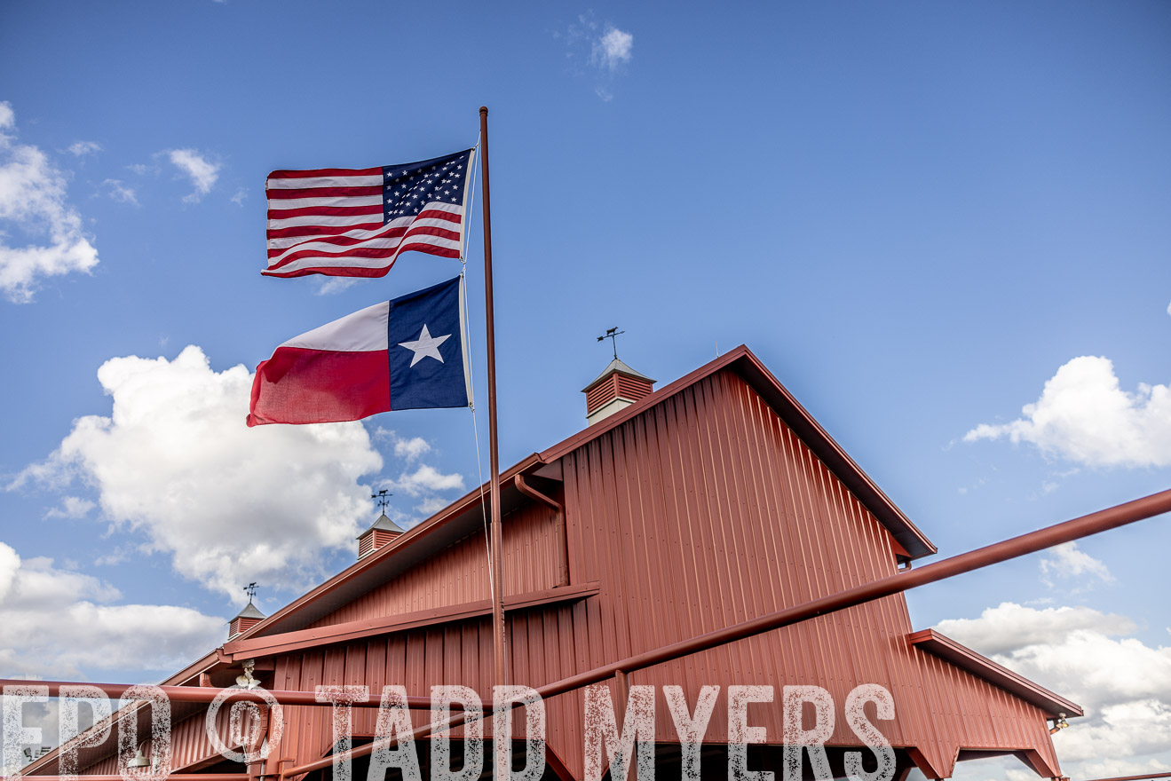 TMyers_FallBullSale_Cameron_Oct2023-515686