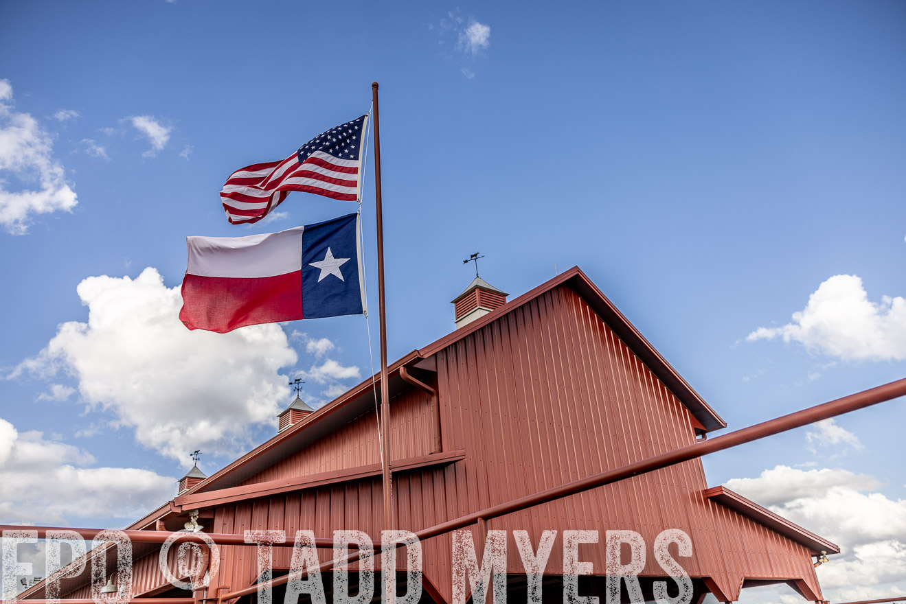 TMyers_FallBullSale_Cameron_Oct2023-515687