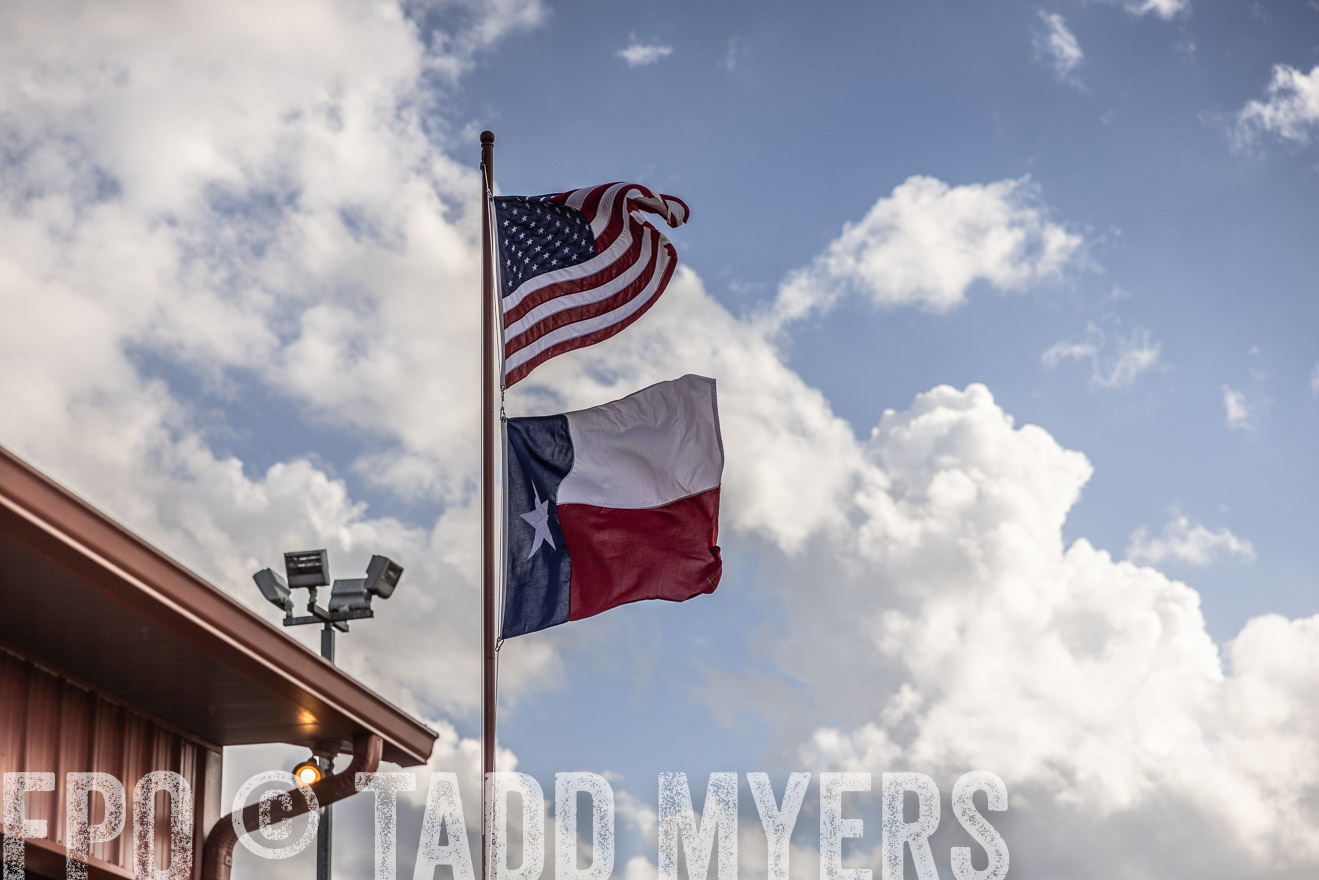 TMyers_FallBullSale_Cameron_Oct2023-515725