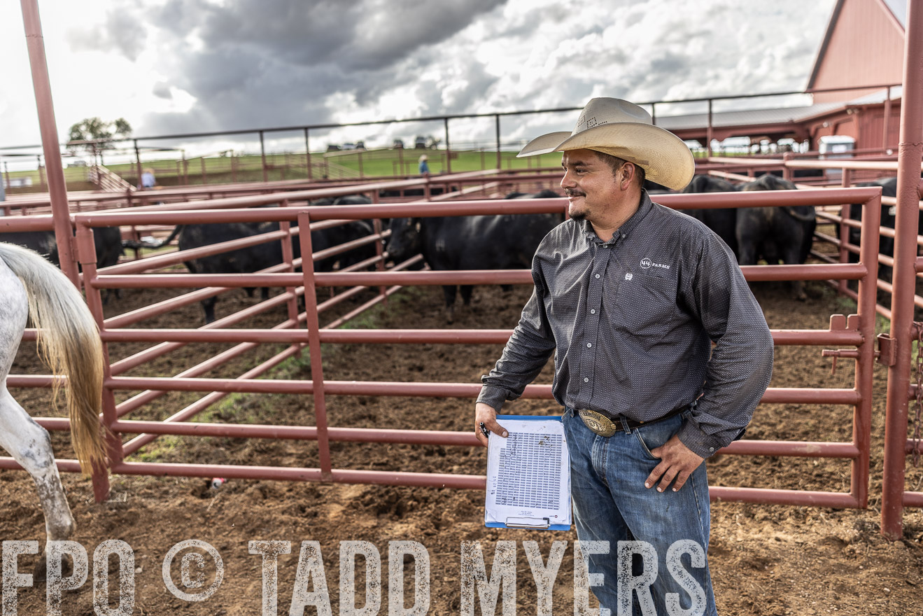 TMyers_FallBullSale_Cameron_Oct2023-515788