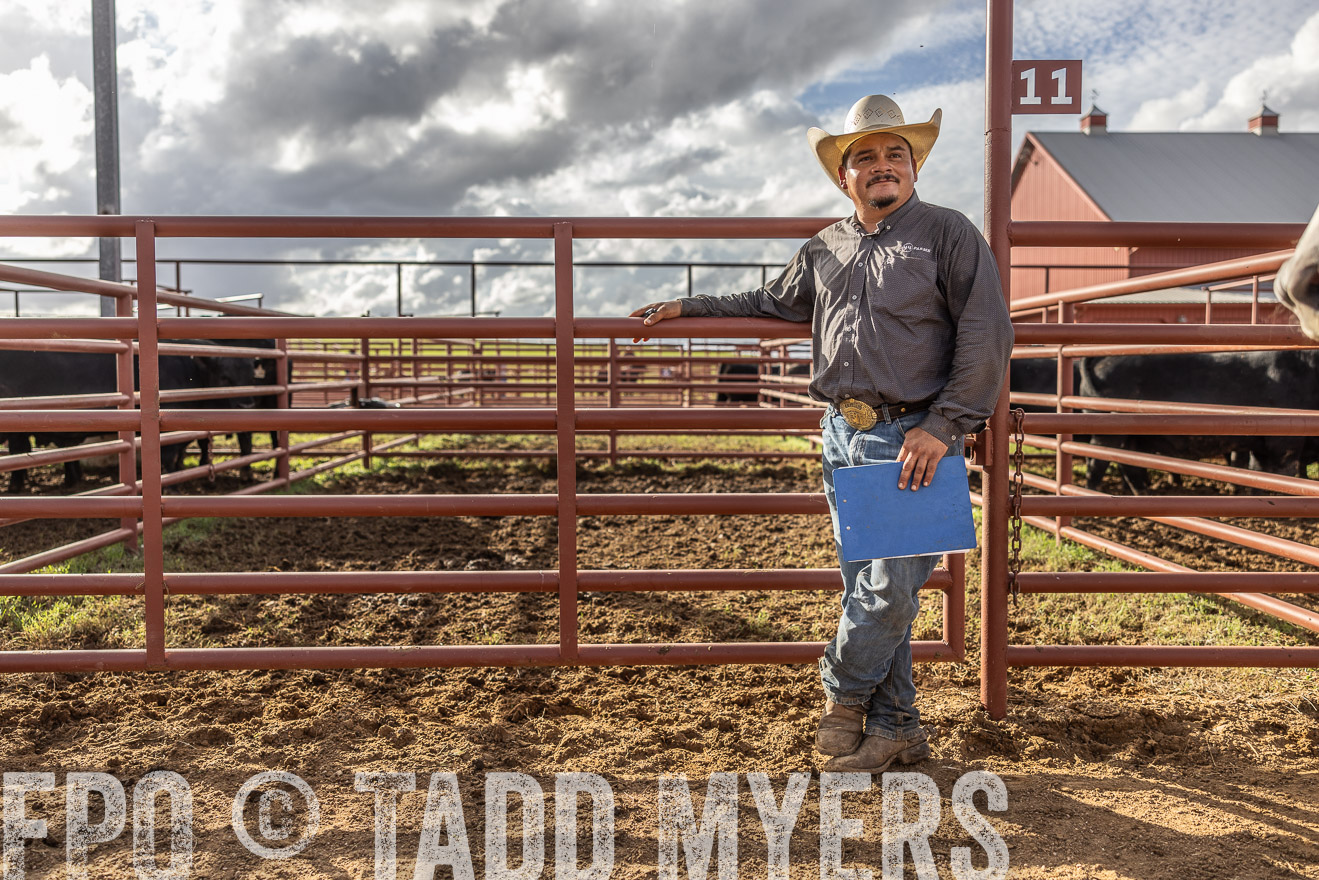 TMyers_FallBullSale_Cameron_Oct2023-515827