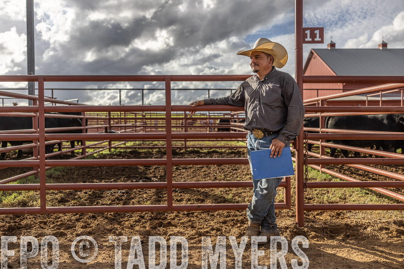 TMyers_FallBullSale_Cameron_Oct2023-515830