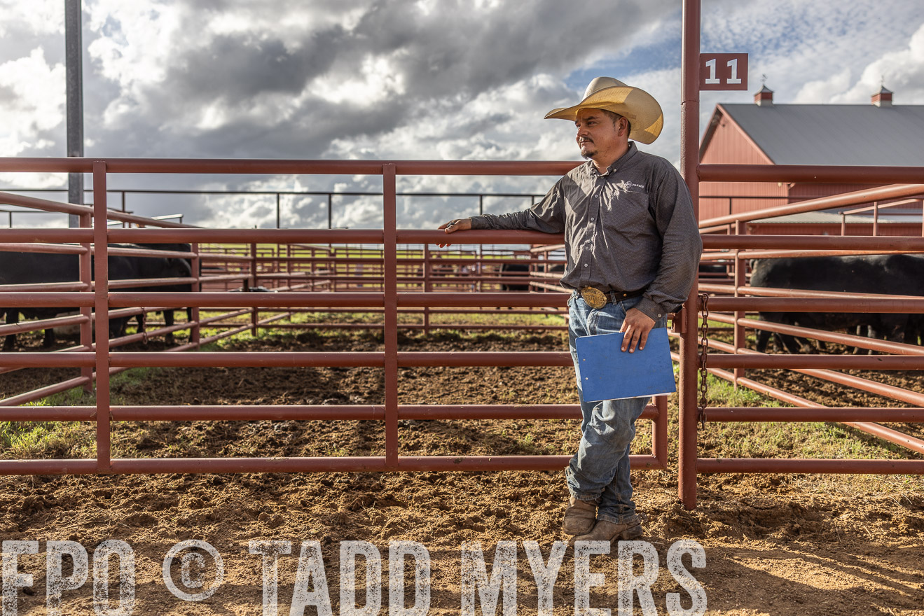 TMyers_FallBullSale_Cameron_Oct2023-515833