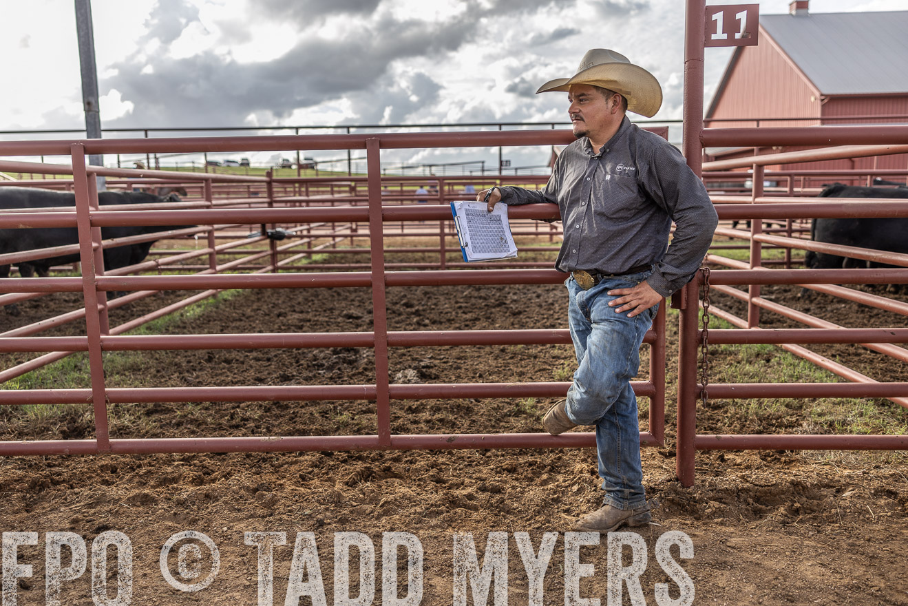 TMyers_FallBullSale_Cameron_Oct2023-515840