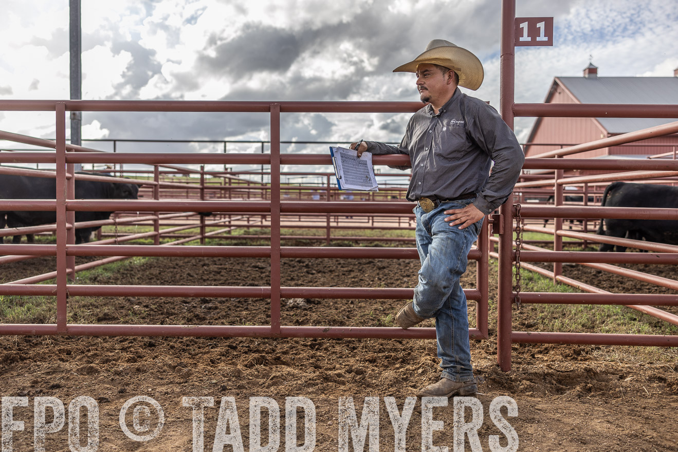 TMyers_FallBullSale_Cameron_Oct2023-515844