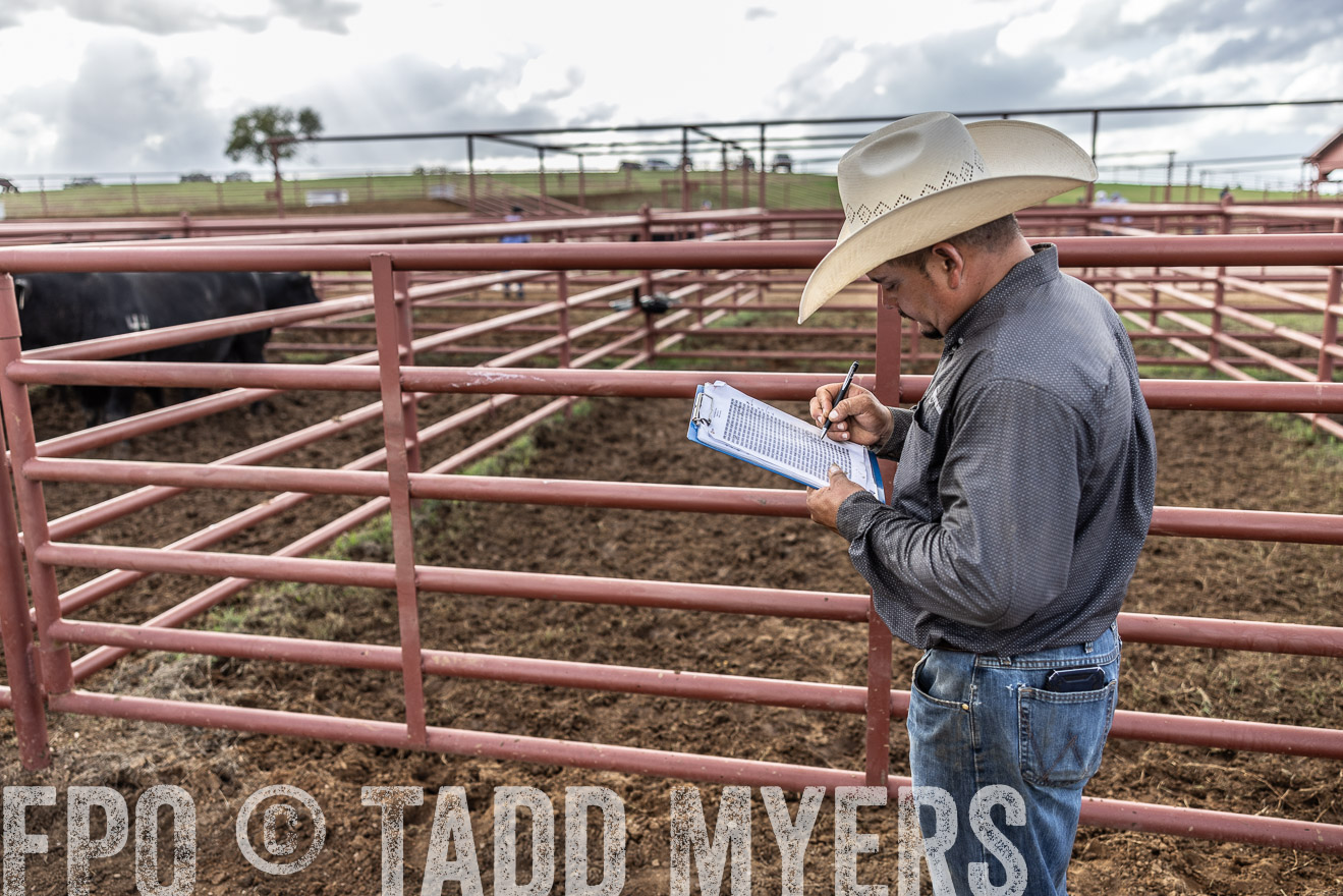 TMyers_FallBullSale_Cameron_Oct2023-515918