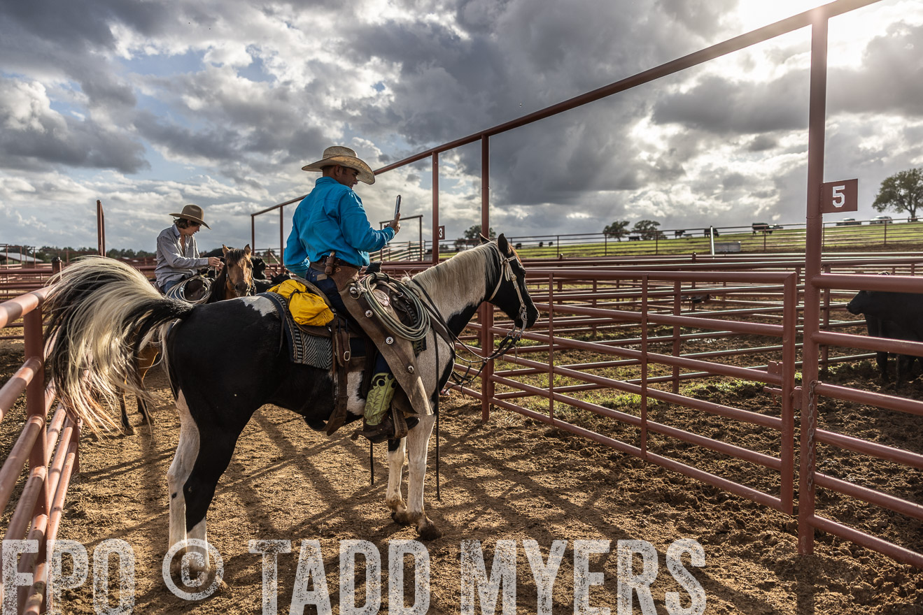 TMyers_FallBullSale_Cameron_Oct2023-515925