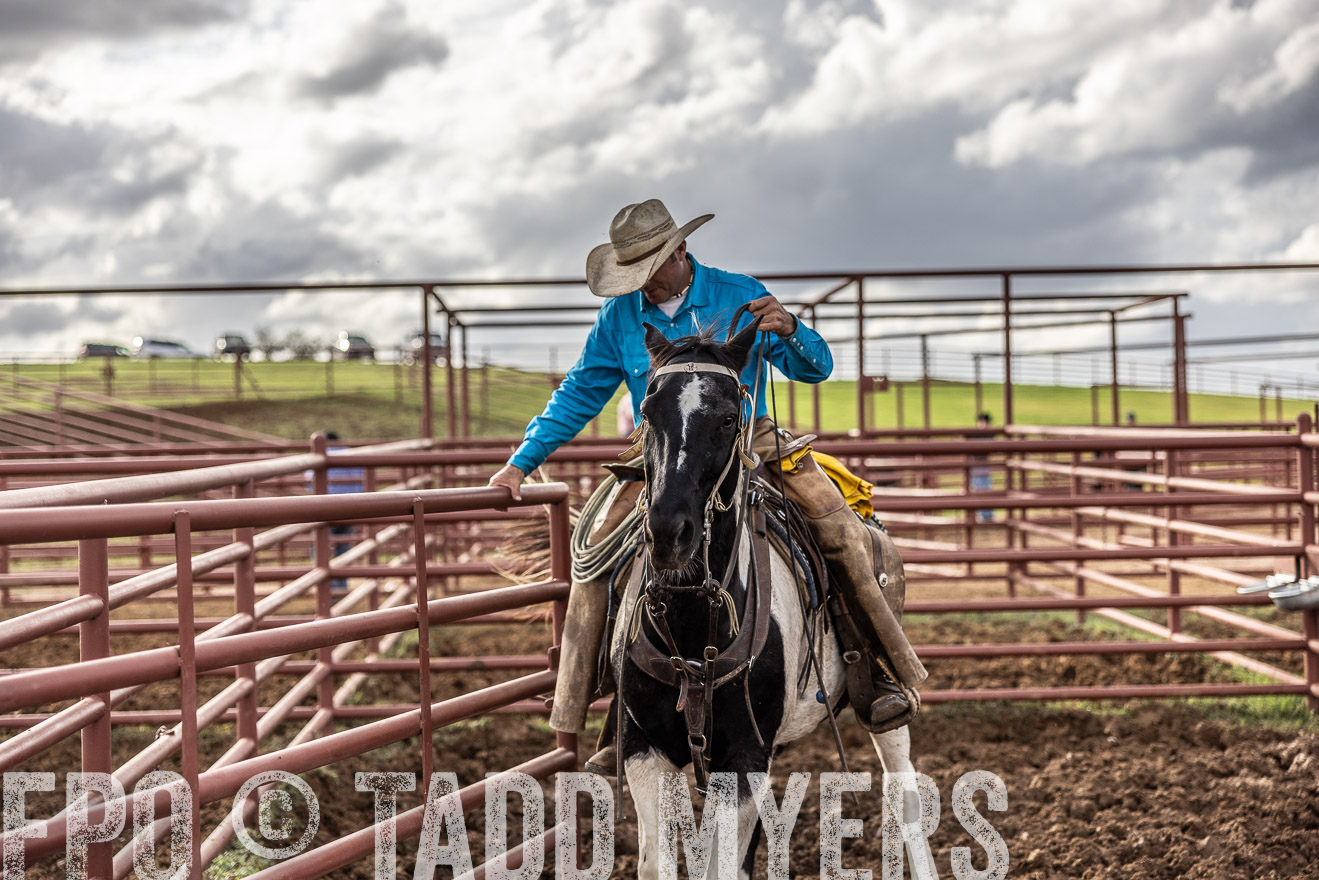 TMyers_FallBullSale_Cameron_Oct2023-515959