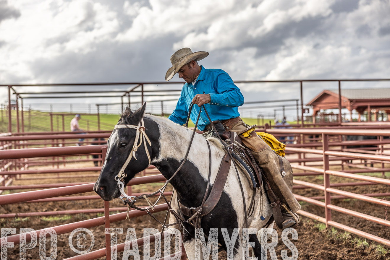 TMyers_FallBullSale_Cameron_Oct2023-515960