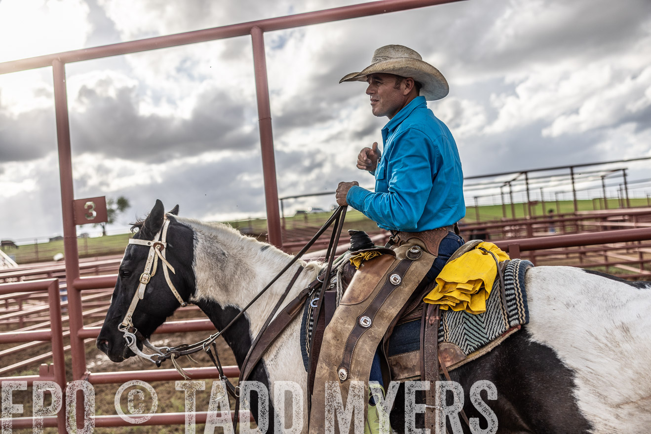 TMyers_FallBullSale_Cameron_Oct2023-515966