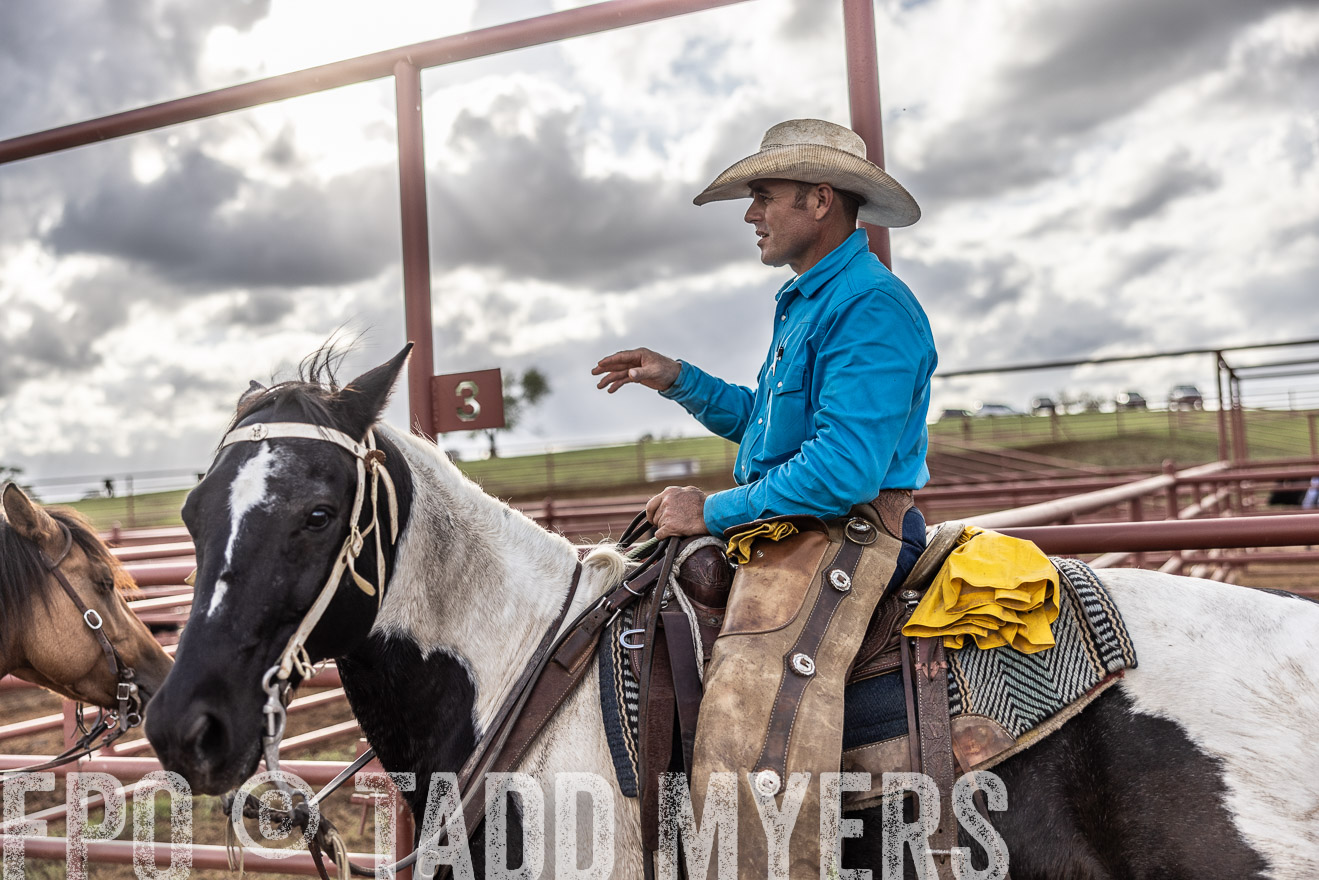 TMyers_FallBullSale_Cameron_Oct2023-515971