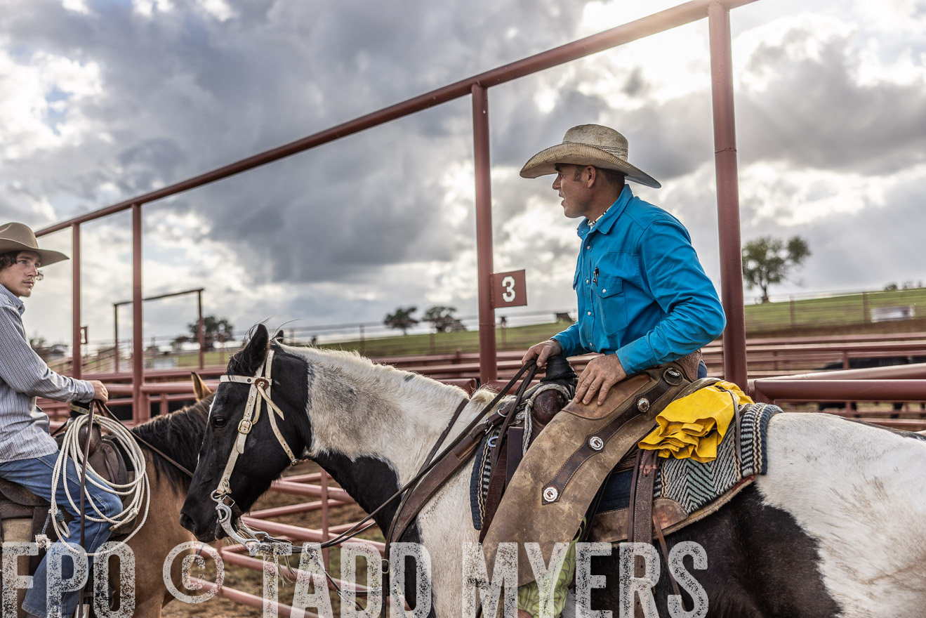TMyers_FallBullSale_Cameron_Oct2023-515985