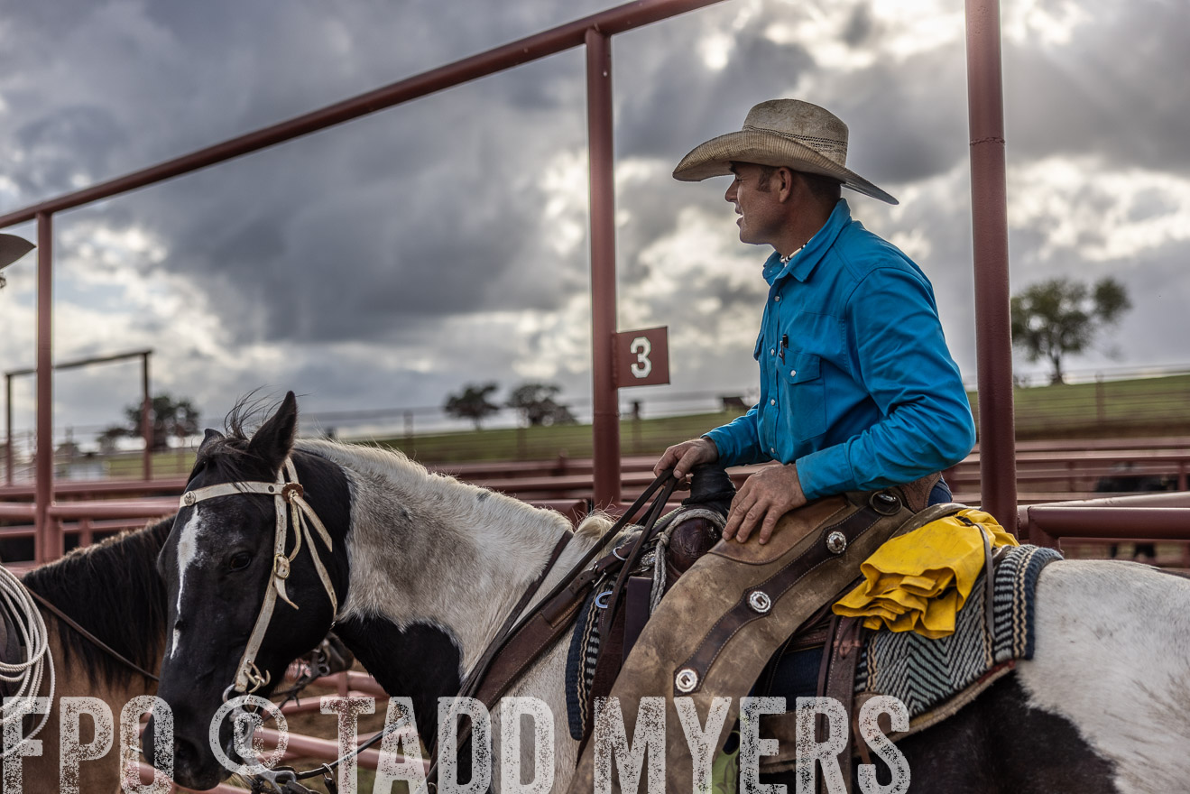 TMyers_FallBullSale_Cameron_Oct2023-515988