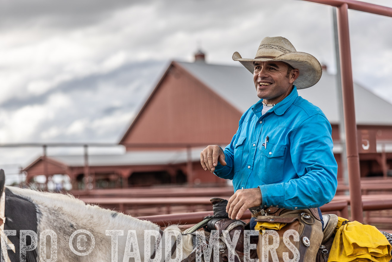 TMyers_FallBullSale_Cameron_Oct2023-516000