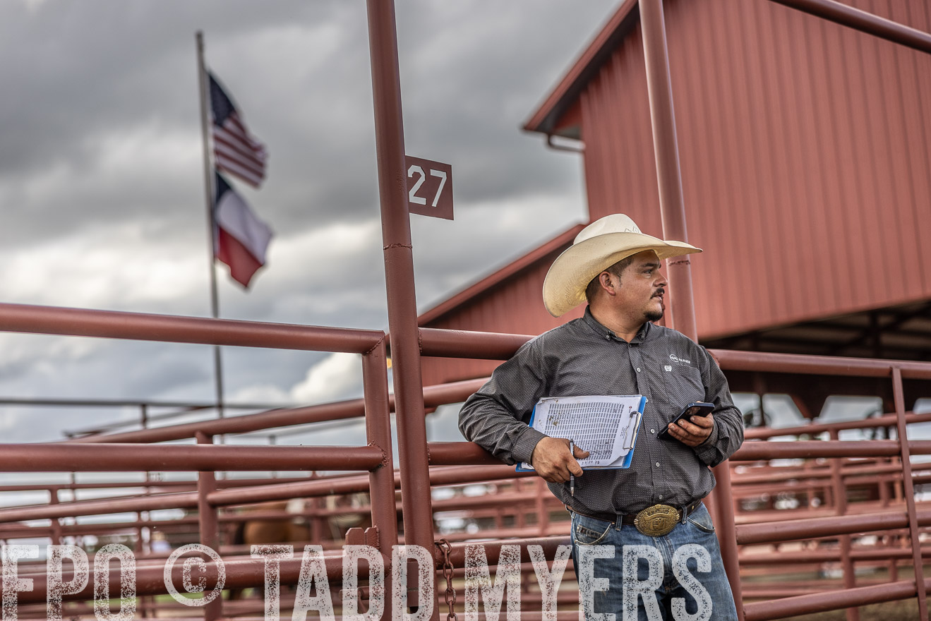 TMyers_FallBullSale_Cameron_Oct2023-516040