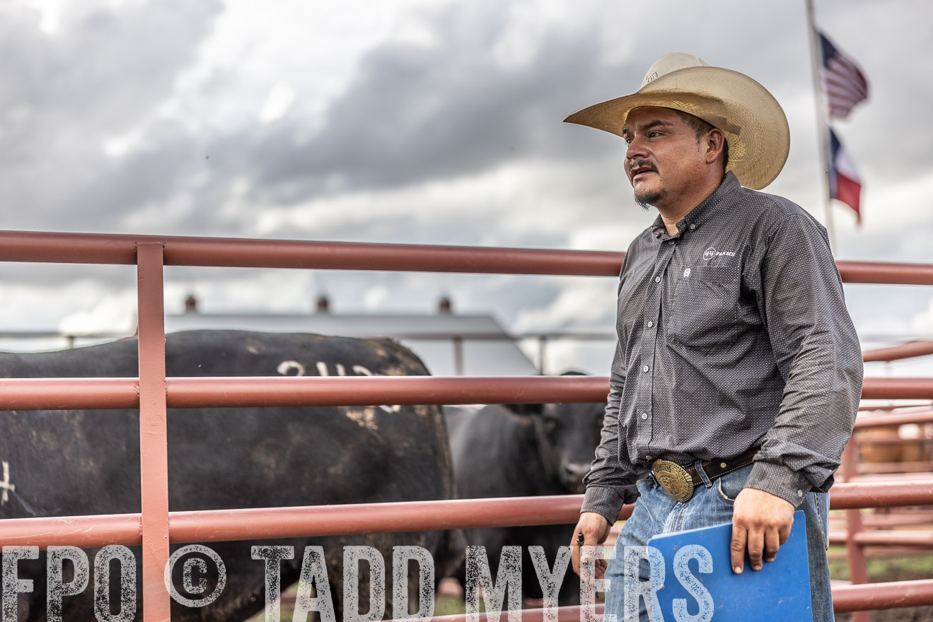 TMyers_FallBullSale_Cameron_Oct2023-516065